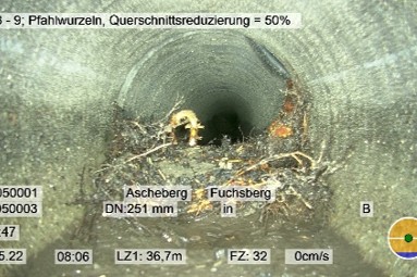 Ascheberg4
