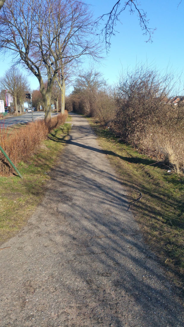 Sanierung des Geh- und Radwegs am Brodersdorfer Weg in Laboe – Projektaufnahme 2