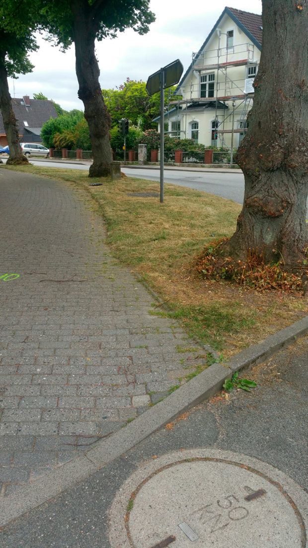 Sanierung des Geh- und Radwegs am Brodersdorfer Weg in Laboe – Projektaufnahme 3