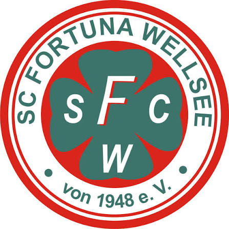 Fortuna Wellsee Logo